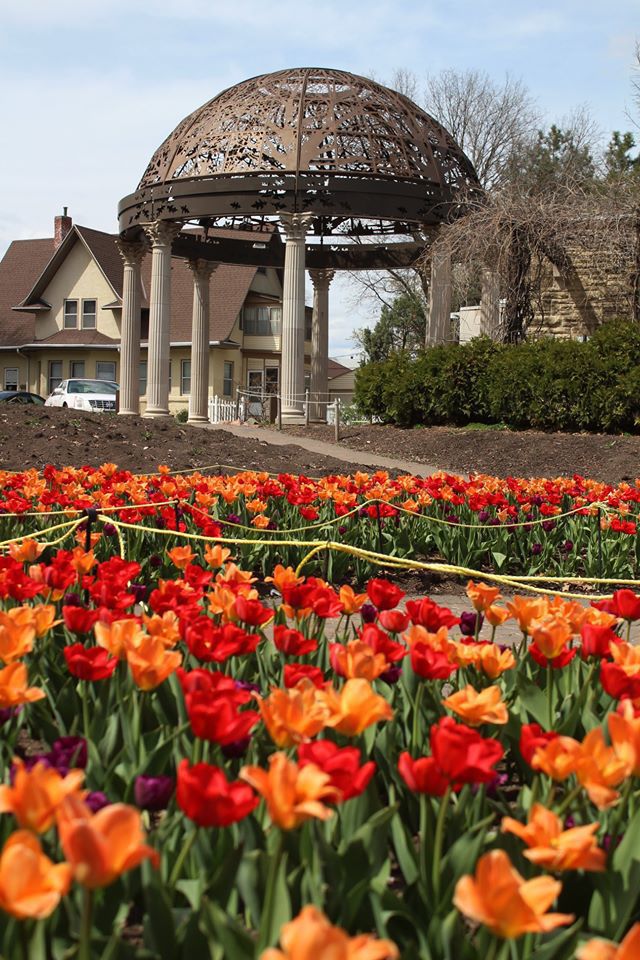 Sunken Gardens 2020